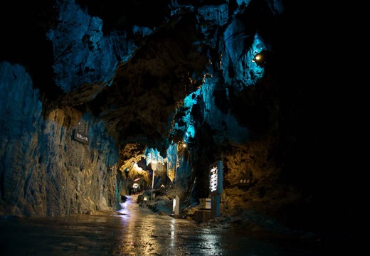 201004291209-DSC05330.jpg
