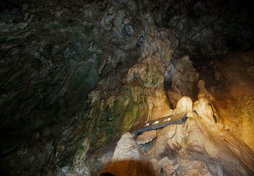 201004291233-DSC05369.jpg