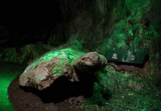 201004291254-DSC05416.jpg