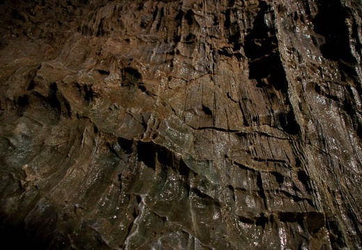 201004291258-DSC05424.jpg