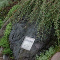 201004291646-DSC05538.jpg