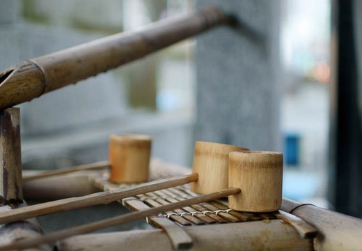 201004291752-DSC05653.jpg