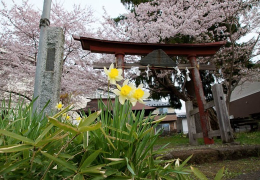 201004300658-DSC05742.jpg