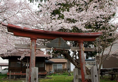 201004300659-DSC05743.jpg