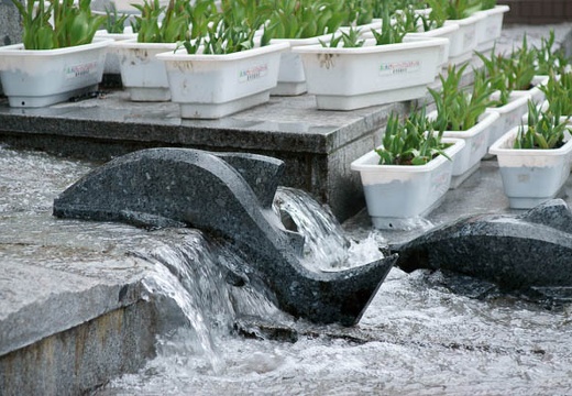 201004300859-DSC05796.jpg