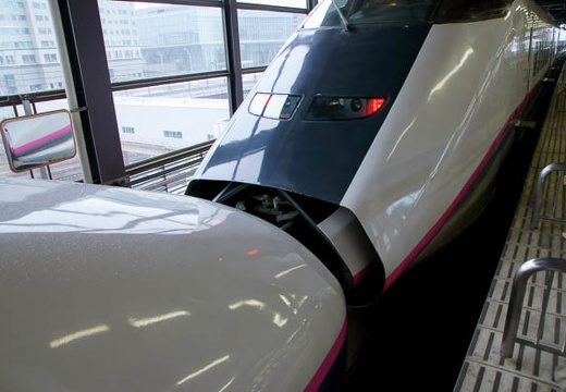 201004300923-DSC05816.jpg
