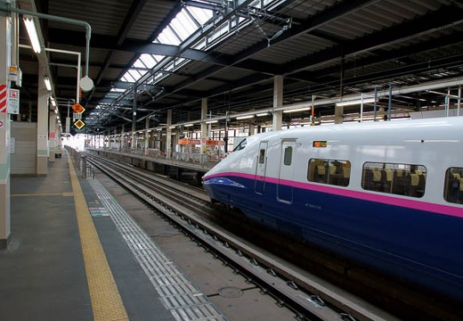 201004300927-DSC05825.jpg