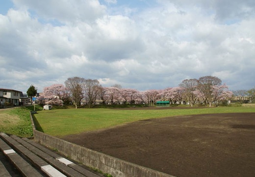 201005010810-DSC06065.jpg
