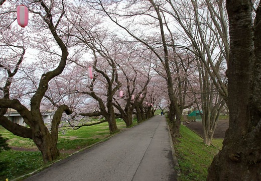 201005010812-DSC06069.jpg