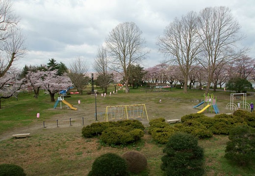 201005010814-DSC06072.jpg