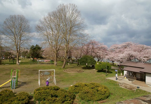 201005010815-DSC06073.jpg