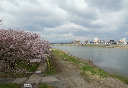 201005010816-DSC06076.jpg