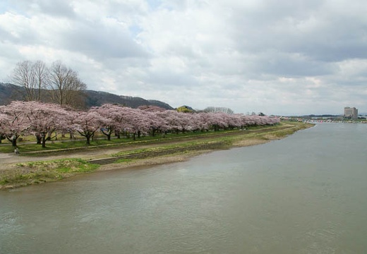 201005010817-DSC06080.jpg