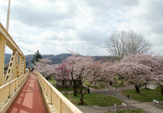 201005010818-DSC06084.jpg