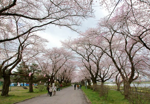 201005010822-DSC06087.jpg