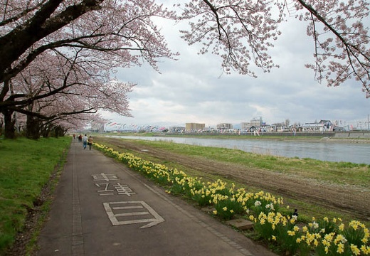 201005010823-DSC06089.jpg