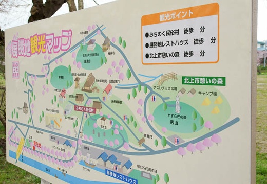 201005010824-DSC06091.jpg