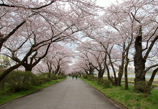 201005010825-DSC06092.jpg