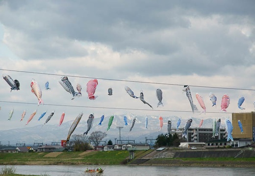 201005010826-DSC06094.jpg