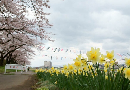 201005010827-DSC06098.jpg