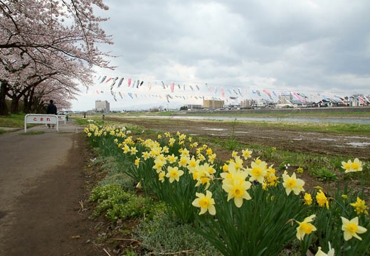 201005010827-DSC06099.jpg