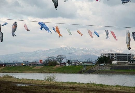 201005010828-DSC06101.jpg