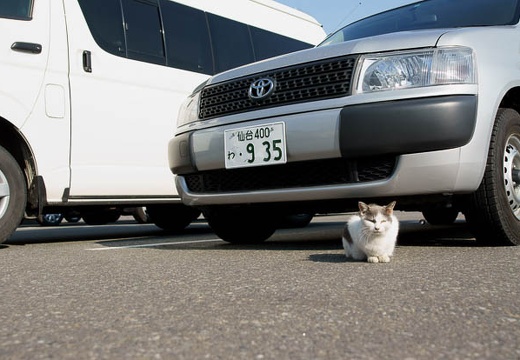 201005020726-DSC06886.jpg