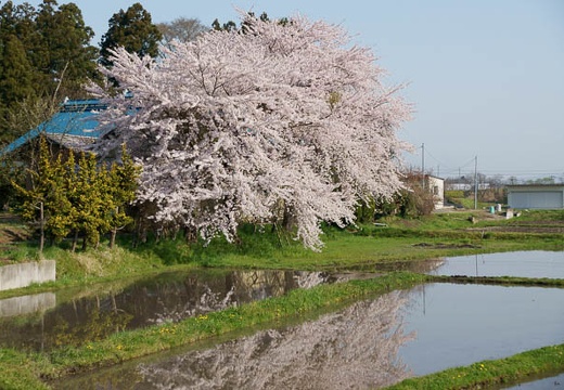 201005020737-DSC06890.jpg
