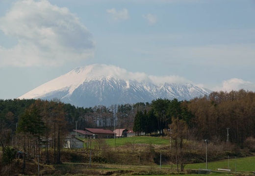 201005020845-DSC06899.jpg