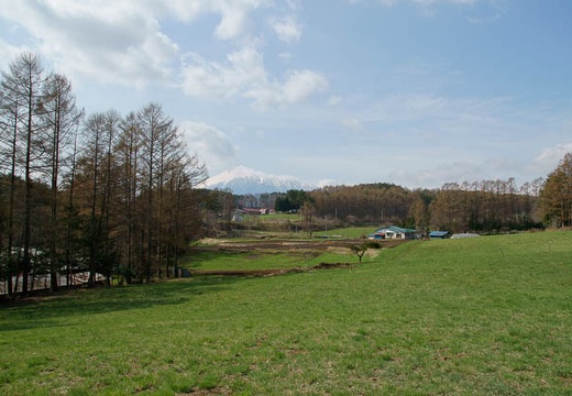 201005020845-DSC06901.jpg