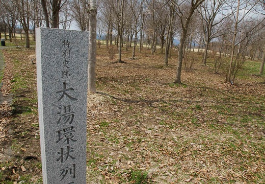 201005021023-DSC06925.jpg