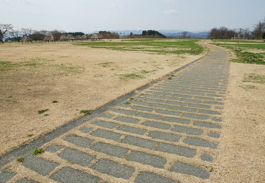 201005021026-DSC06931.jpg