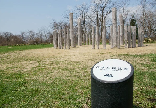 201005021029-DSC06935.jpg