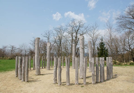 201005021029-DSC06936.jpg