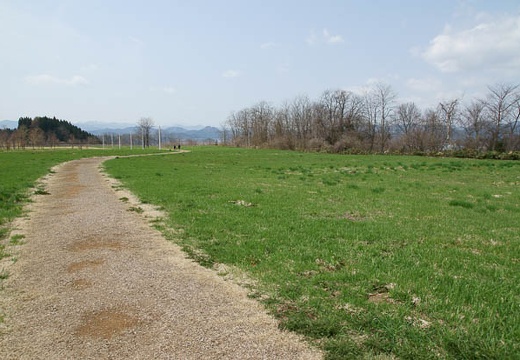 201005021031-DSC06938.jpg