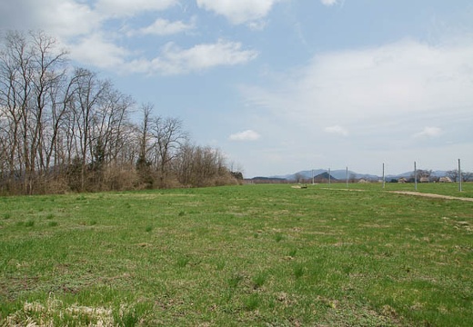 201005021035-DSC06942.jpg