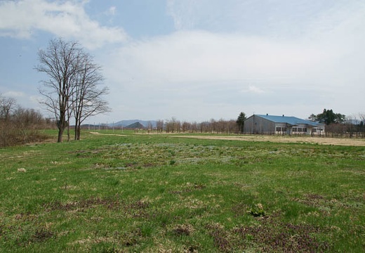 201005021040-DSC06953.jpg