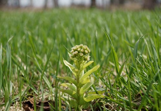 201005021044-DSC06959.jpg