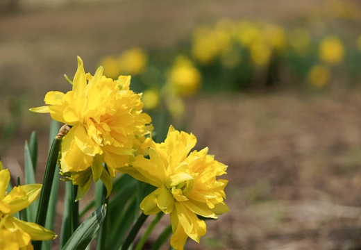 201005021046-DSC06961.jpg