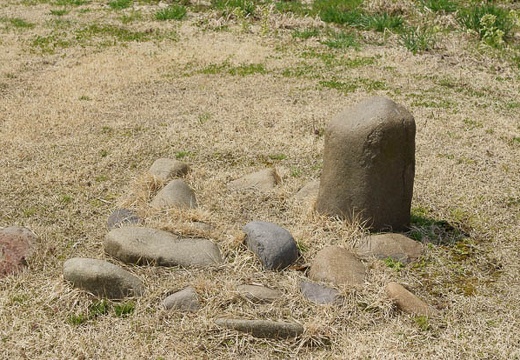 201005021049-DSC06966.jpg