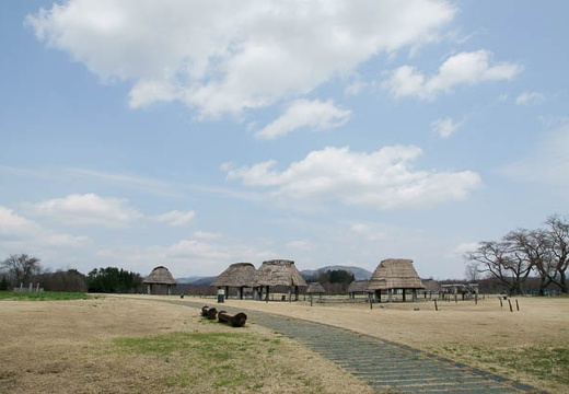 201005021051-DSC06967.jpg