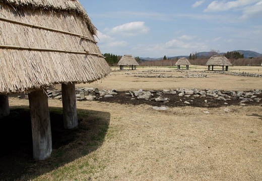 201005021052-DSC06969.jpg
