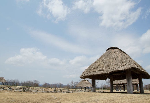 201005021055-DSC06974.jpg