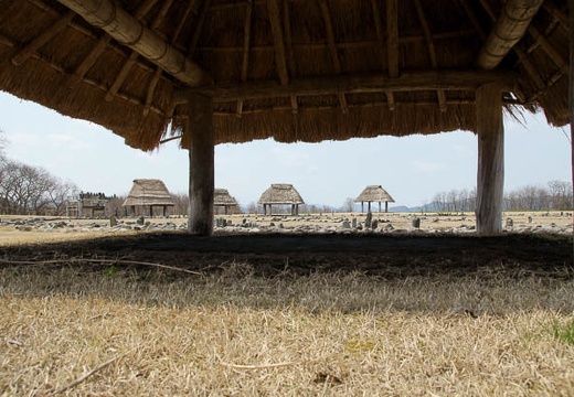 201005021056-DSC06976.jpg