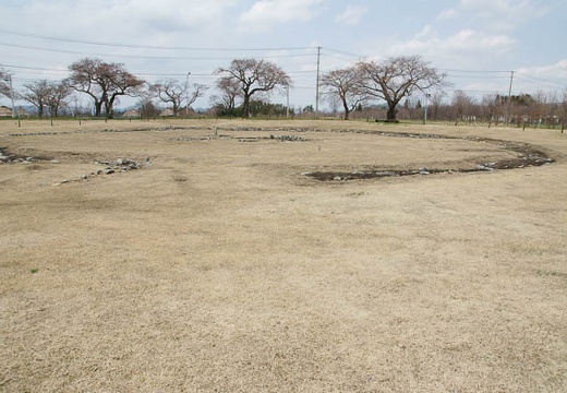 201005021103-DSC06983.jpg