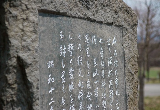 201005021112-DSC06991.jpg