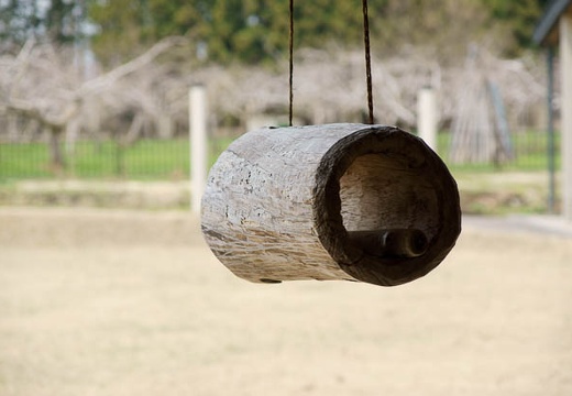 201005021115-DSC06997.jpg