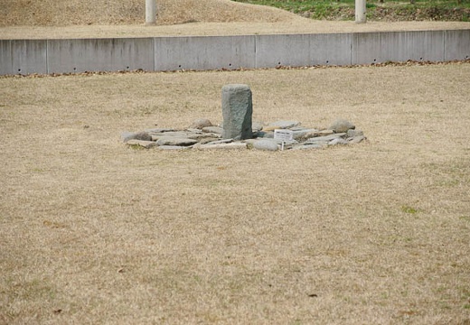 201005021116-DSC06998.jpg