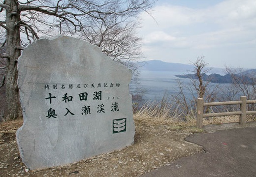 201005021204-DSC07029.jpg