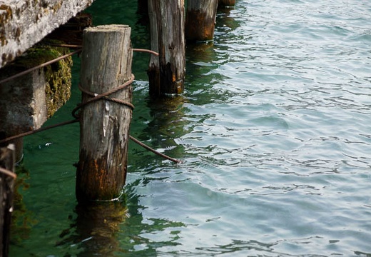 201005021235-DSC07075.jpg